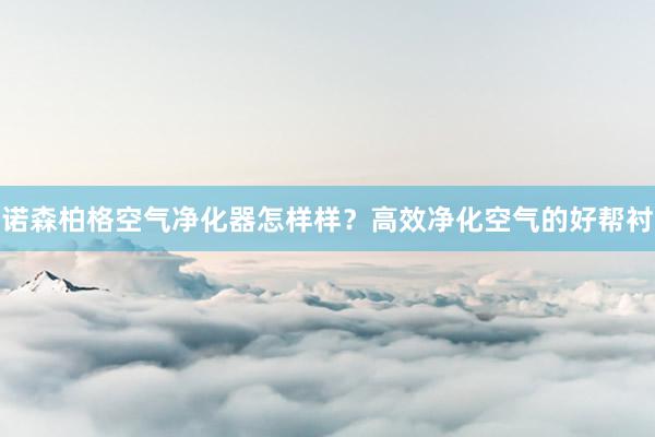 诺森柏格空气净化器怎样样？高效净化空气的好帮衬