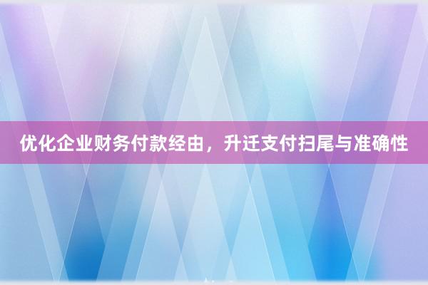 优化企业财务付款经由，升迁支付扫尾与准确性