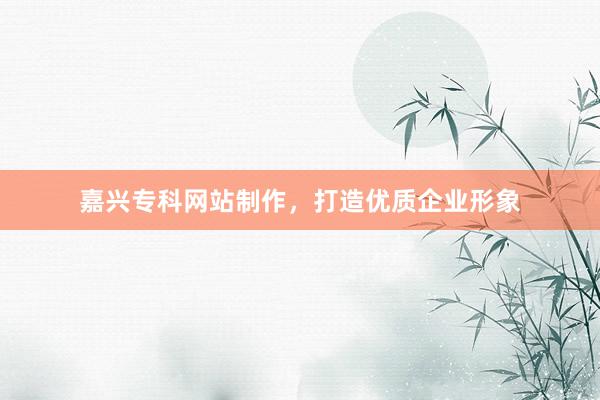嘉兴专科网站制作，打造优质企业形象