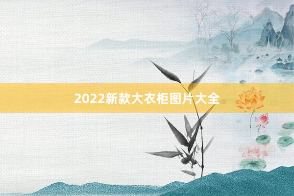 2022新款大衣柜图片大全