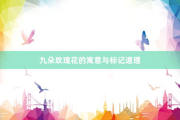 九朵玫瑰花的寓意与标记道理